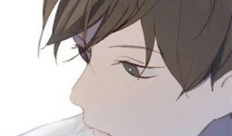 男男动漫在线,激情与情感的交织之旅