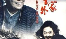 电视剧家里家外,家里家外情感纠葛