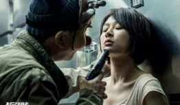 电视剧沉默的证人剧情,真相与正义的较量