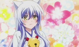 银狐动漫,奇幻世界中的银色传奇