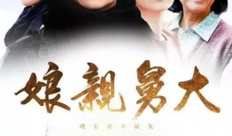 电视剧娘亲舅大,亲情纠葛与时代变迁的感人史诗